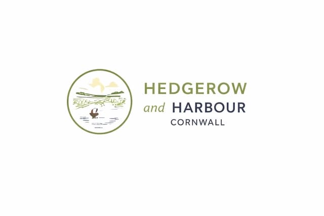 store_logo
